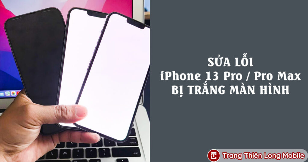 3 Cách Sửa Lỗi iPhone 13 Pro/Pro Max Bị Trắng Màn Hình Mà iFan Cần Phải Biết