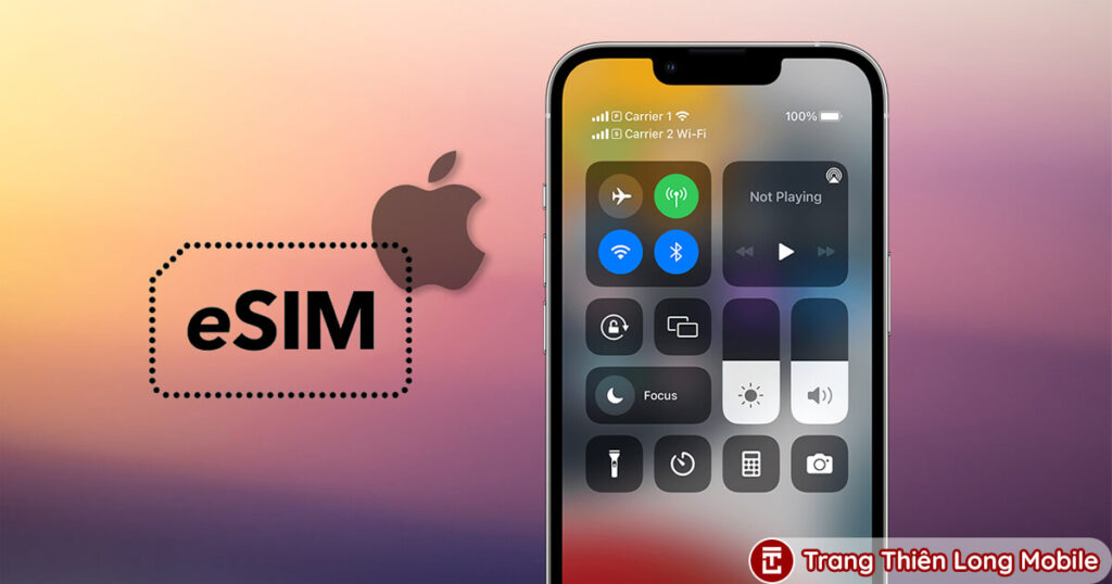 eSIM Là Gì ? Ưu Điểm Và Hạn Chế Của eSIM Và Sim Vật Lý Trên iPhone